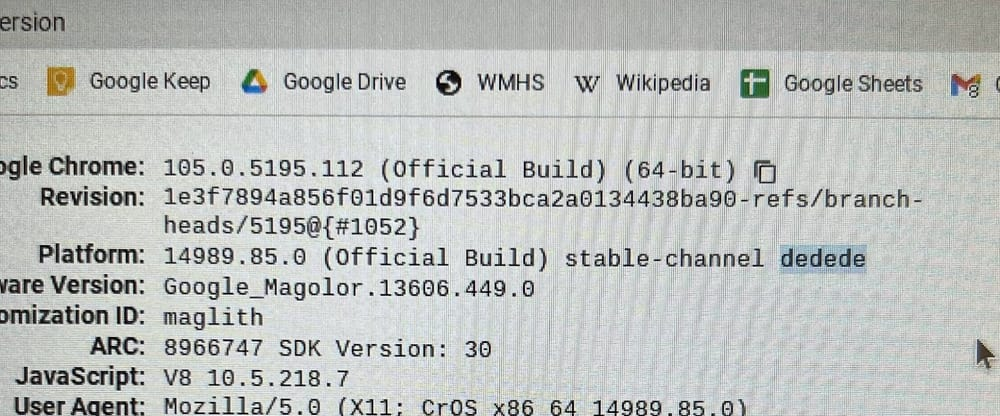 chrome://version page, cropped to show only the data we want.