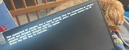 Lenovo ThinkPad failing to charge on a UGREEN 100W power brick